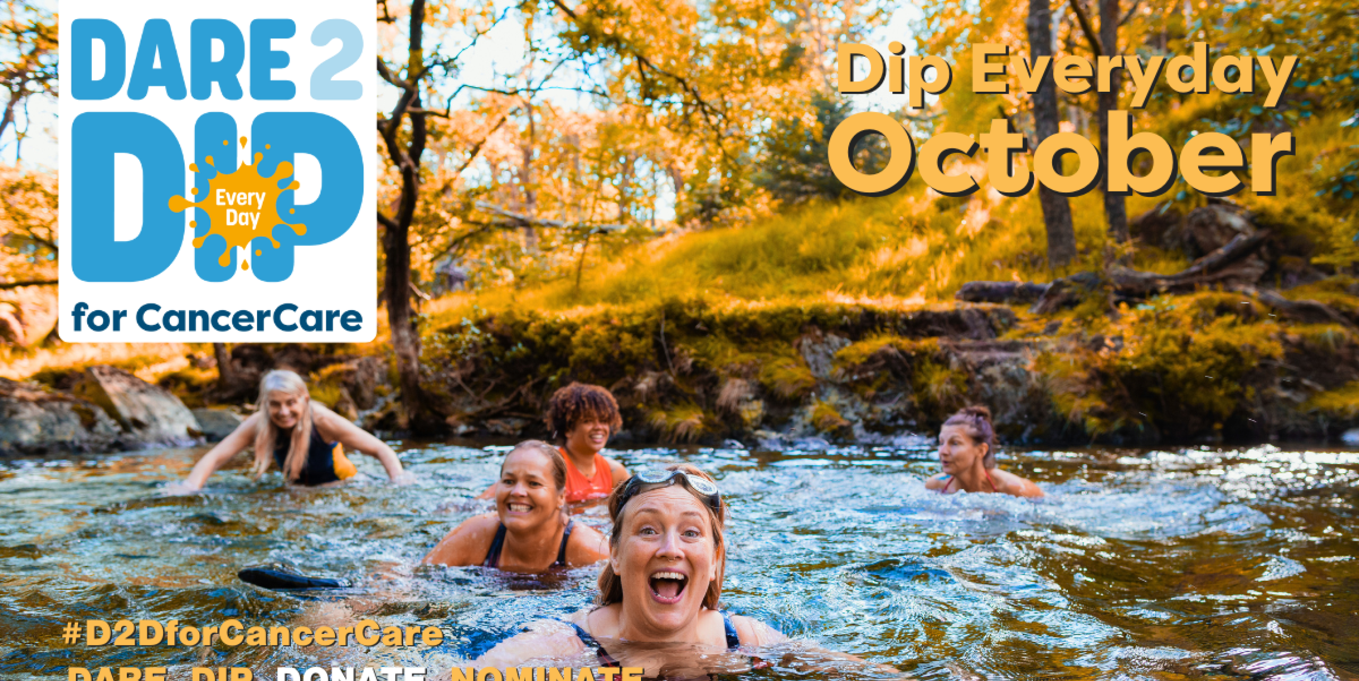 D2 D Everyday Just Giving Banner