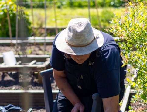 Allotment 21