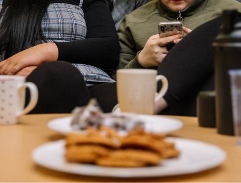 Drop in support 464x368