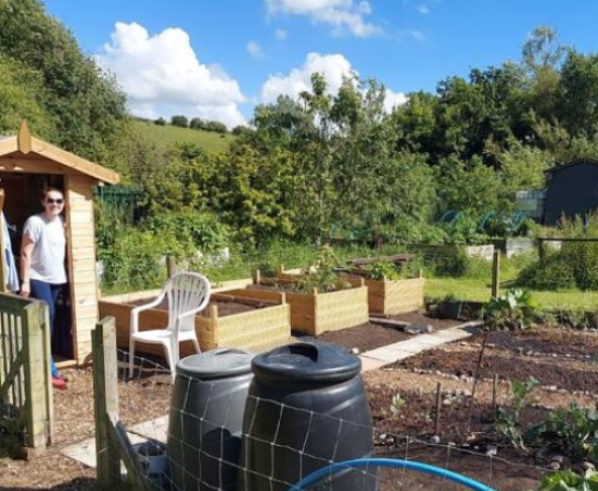 ALLOTMENT