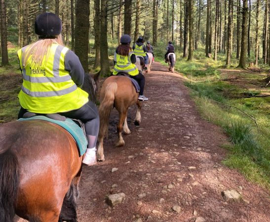 Whats App Image 2023 09 12 at 09 37 07 3